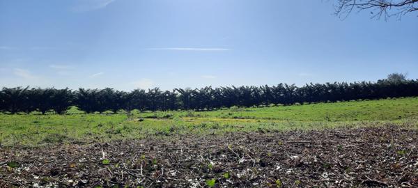 parcelle de terrain avec partie constructible