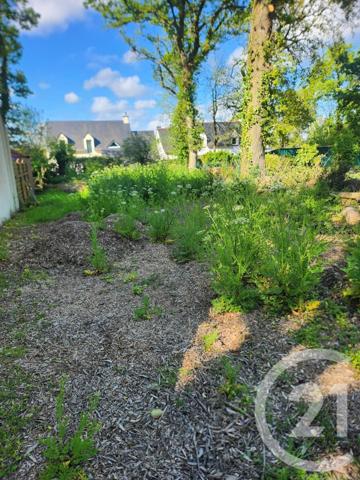 terrain à vendre  665 m2 MUZILLAC - 56