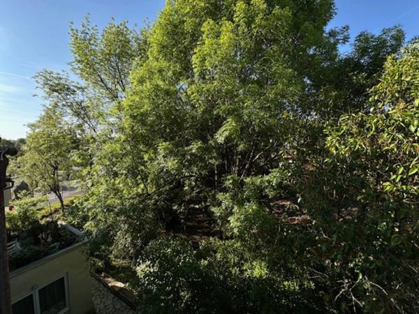 Appartement T2 vendu loué immeuble Haussmanien ANGOULEME (16)