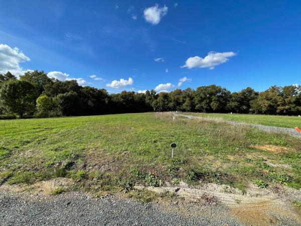 Magnifique lotissement entouré d' arbres