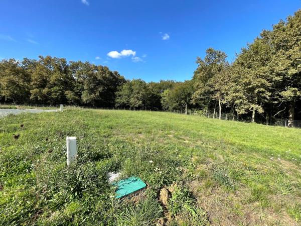 Magnifique lotissement entouré d' arbres