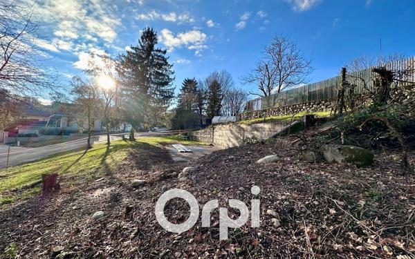 Terrain à vendre    Brié-et-Angonnes