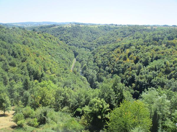 Château historique dominant les gorges de la Dore Thiers