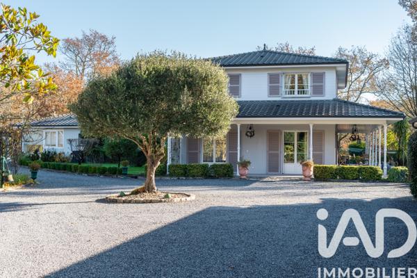 Maison à vendre 8 pièces 269 m² Belin-Béliet