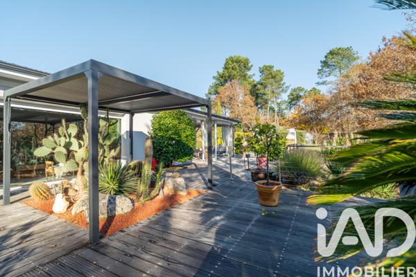 Maison à vendre 8 pièces 269 m² Belin-Béliet