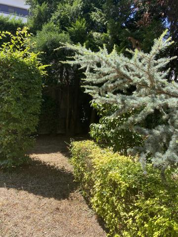 Maison 8 pièces - 232 m²