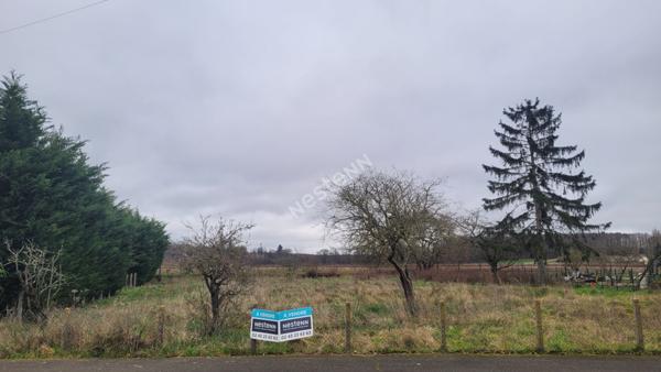 Terrain Neuville-sur-sarthe