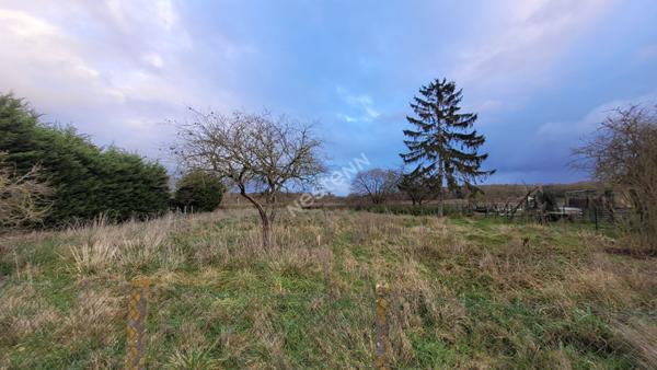 Terrain Neuville-sur-sarthe