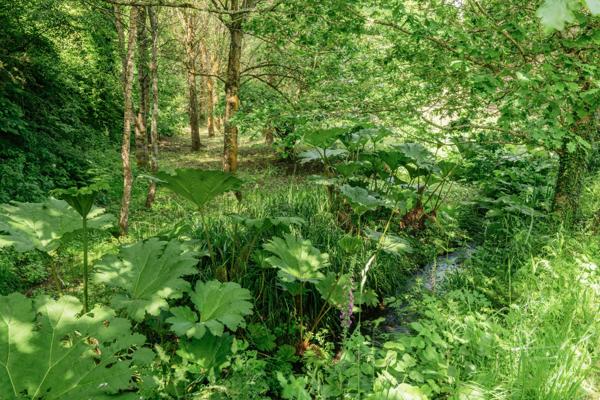 MAGNIFIQUE MOULIN XVe SIECLE ENTRE TERRE ET MER 7 PIÈCES 176 M² HENVIC