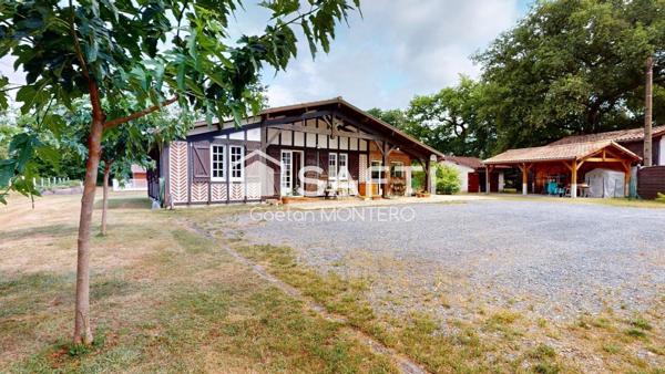 Nouveauté à Labouheyre