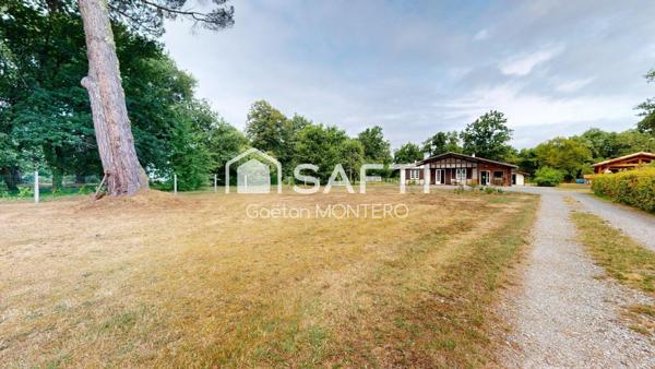 Nouveauté à Labouheyre