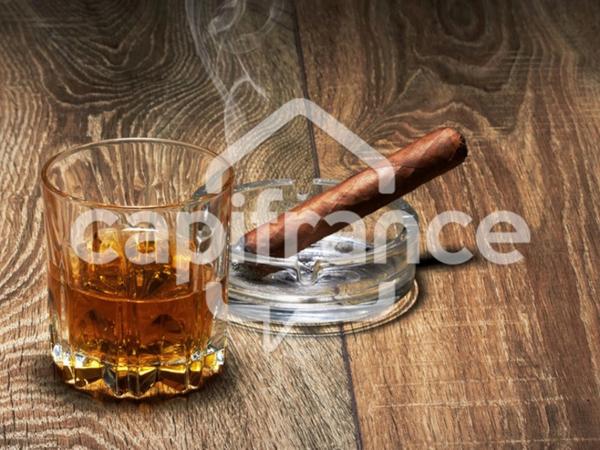 Dpt Vendée (85), à vendre PROCHE LONGEVILLE SUR MER Bar - Tabac - Loto - Presse