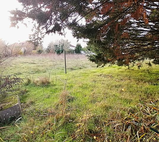 DERNIER TERRAIN CONSTRUCTIBLE