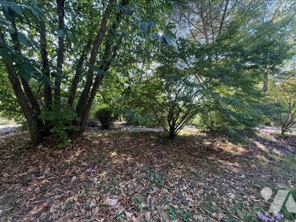 BOUCHEMAINE/PRUNIER MAISON A RENOVER SUR TERRAIN CONSTRUCTIBLE 