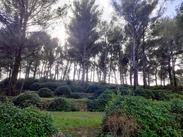 belle maison spacieuse bien située