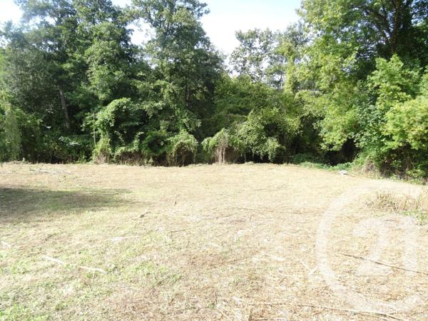 Terrain à vendre  1201 m2 VILLERS SUR MER - 14