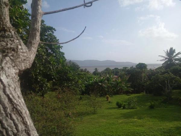 Vente Terrain 922 m2 à La Trinité