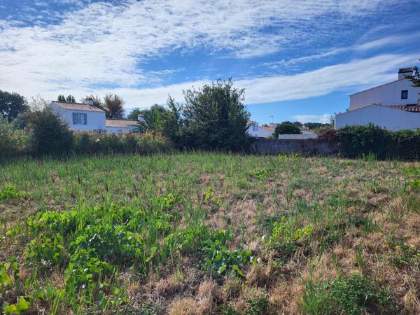 Terrain de 554m²