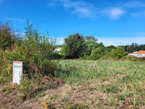 Terrain de 554m²