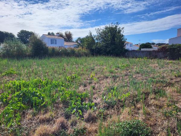 Terrain de 554m²