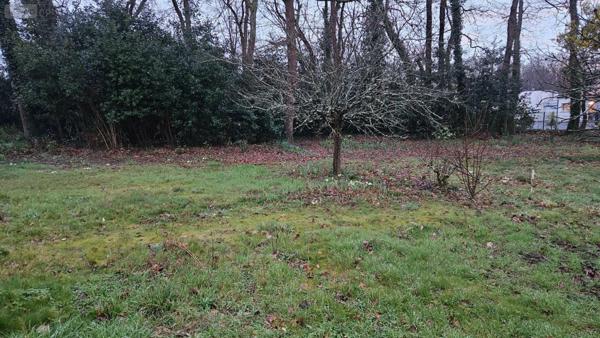 Terrain à Batir à vendre à Breuillet en Charente-Maritime (17920), ref : Ref 02045   
bourg