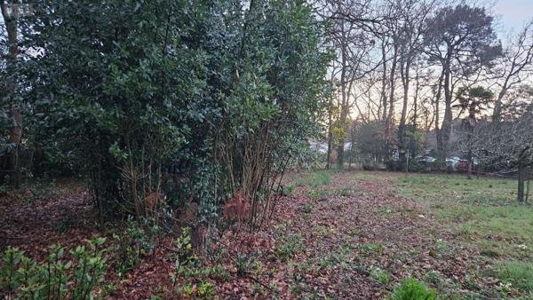 Terrain à Batir à vendre à Breuillet en Charente-Maritime (17920), ref : Ref 02045   
bourg