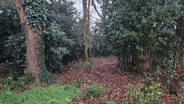 Terrain à Batir à vendre à Breuillet en Charente-Maritime (17920), ref : Ref 02045   
bourg