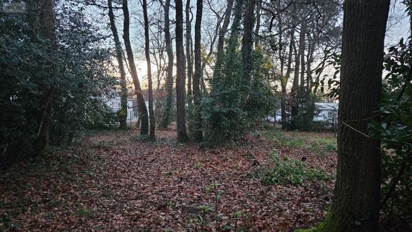 Terrain à Batir à vendre à Breuillet en Charente-Maritime (17920), ref : Ref 02045   
bourg