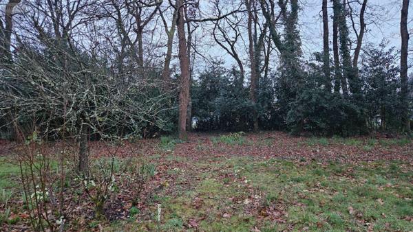 Terrain à Batir à vendre à Breuillet en Charente-Maritime (17920), ref : Ref 02045   
bourg