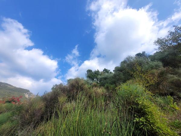 Maison à TOUET DE L'ESCARENE (06440)