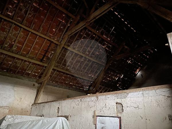 Local d’activité  en vente - Nièvre - 58