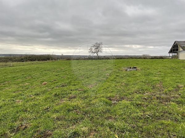 Local d’activité  en vente - Nièvre - 58