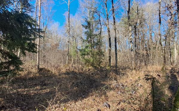 Terrain à vendre    Gouzon