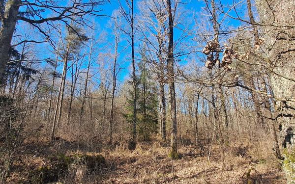 Terrain à vendre    Gouzon