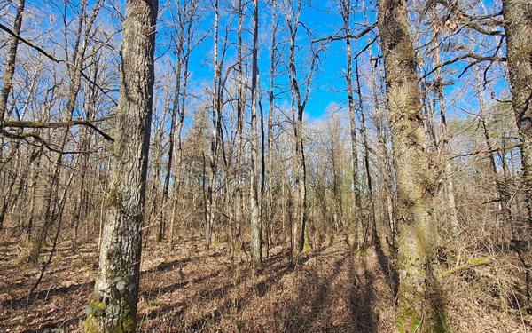 Terrain à vendre    Gouzon