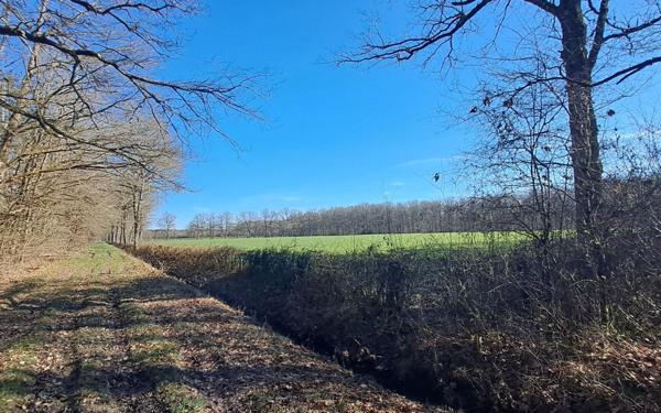 Terrain à vendre    Gouzon
