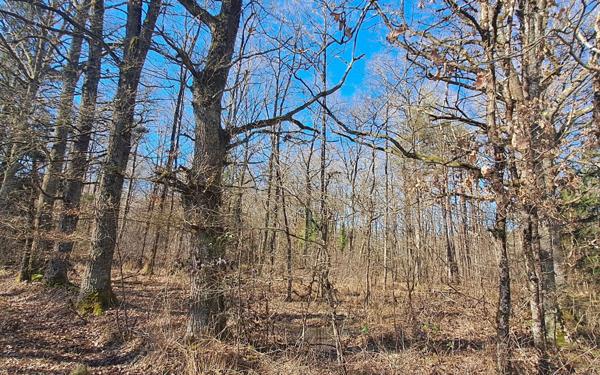 Terrain à vendre    Gouzon