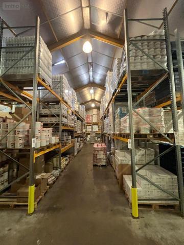 Entrepôt et bureaux à louer à Dunkerque dans le Nord (59240), ref : V12356