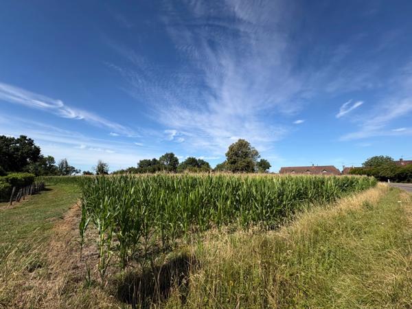 Terrain à vendre  SENS SUR SEILLE (71)