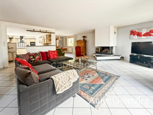 Saint Jean le Blanc, à 5 minutes d'Orleans dans un secteur privilégié etcherché à vendre grande maison familiale de 235 m2, 5 chambres, salle de jeux de 30 m2 garage double, jardin clos et abri