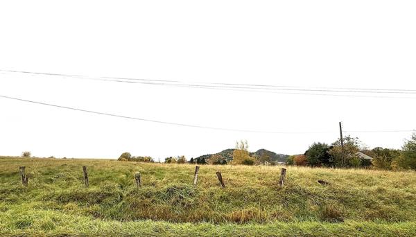 Vente Terrain 6812 m2 à Saint-Dié-des-Vosges