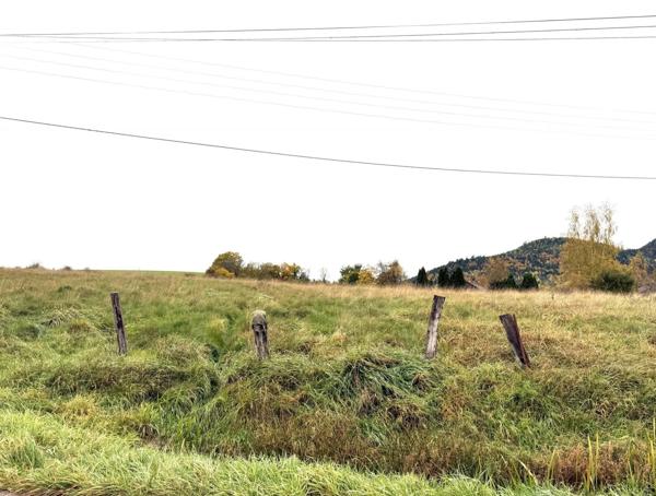 Vente Terrain 6812 m2 à Saint-Dié-des-Vosges