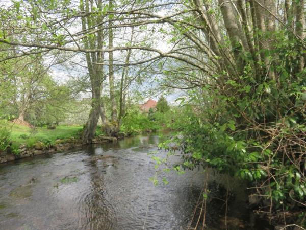 Vente / Maison avec dépendance