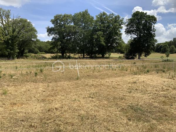 Terrain de 1 133 m²