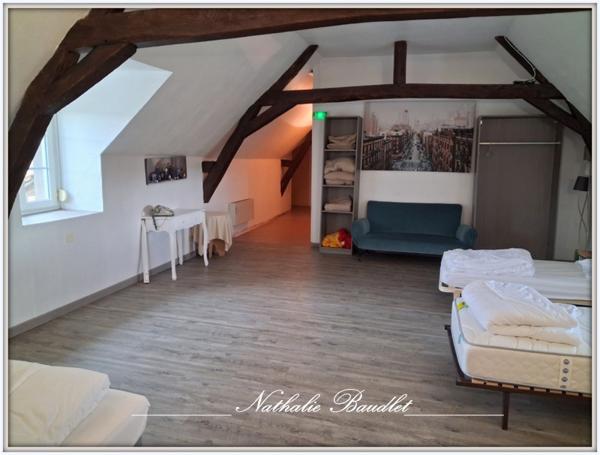 Brûlon (72350) Ancien moulin de 9 pièces (7 chambres) sur 4965m² de terrain