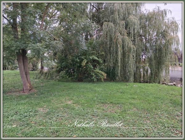 Brûlon (72350) Ancien moulin de 9 pièces (7 chambres) sur 4965m² de terrain