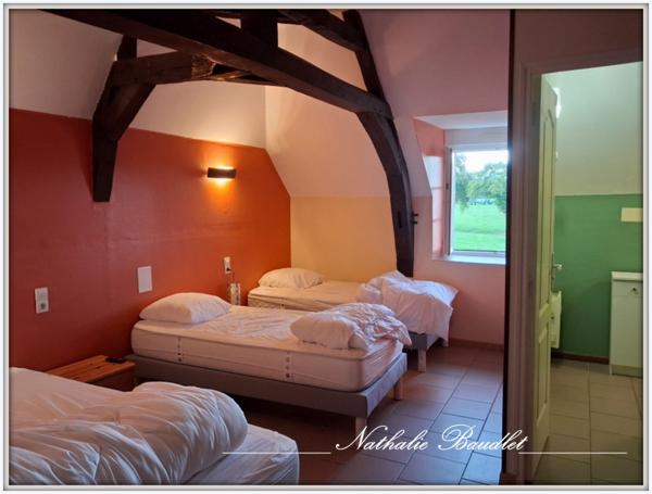 Brûlon (72350) Ancien moulin de 9 pièces (7 chambres) sur 4965m² de terrain