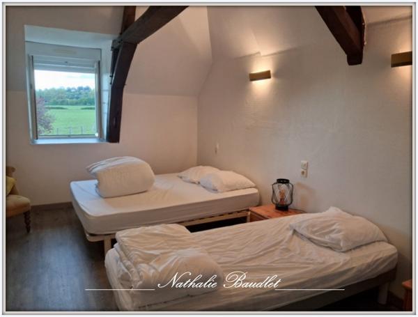 Brûlon (72350) Ancien moulin de 9 pièces (7 chambres) sur 4965m² de terrain