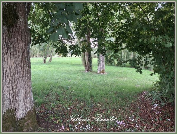 Brûlon (72350) Ancien moulin de 9 pièces (7 chambres) sur 4965m² de terrain