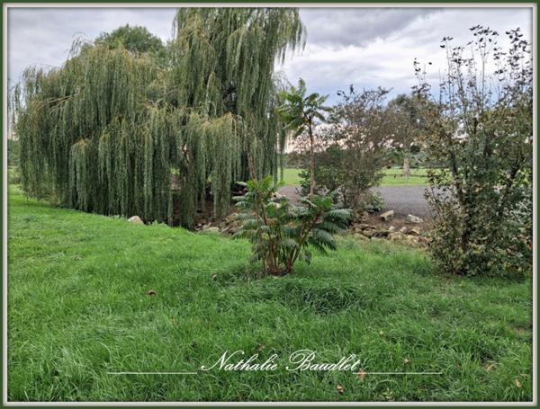 Brûlon (72350) Ancien moulin de 9 pièces (7 chambres) sur 4965m² de terrain